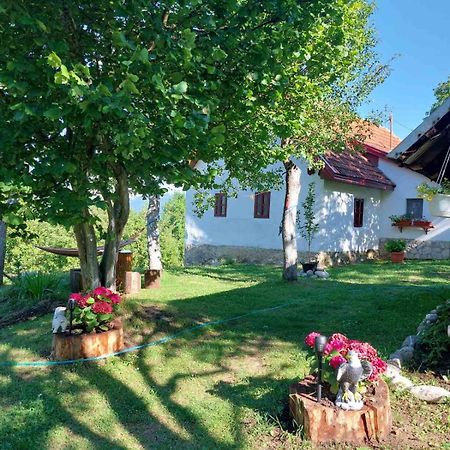 Etno Guest House Lalovic Tjentiste Bagian luar foto