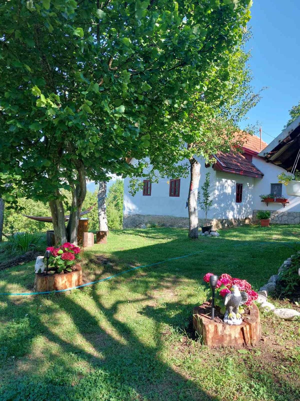 Etno Guest House Lalovic Tjentiste Bagian luar foto