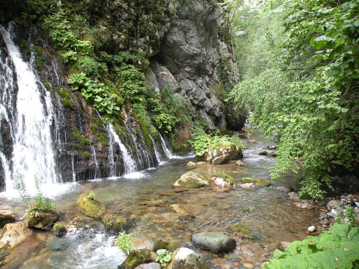 Etno Guest House Lalovic Tjentiste Bagian luar foto