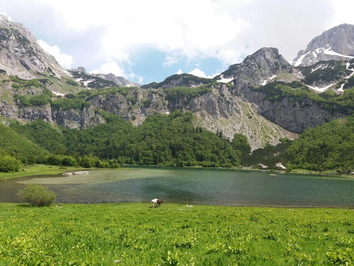 Etno Guest House Lalovic Tjentiste Bagian luar foto